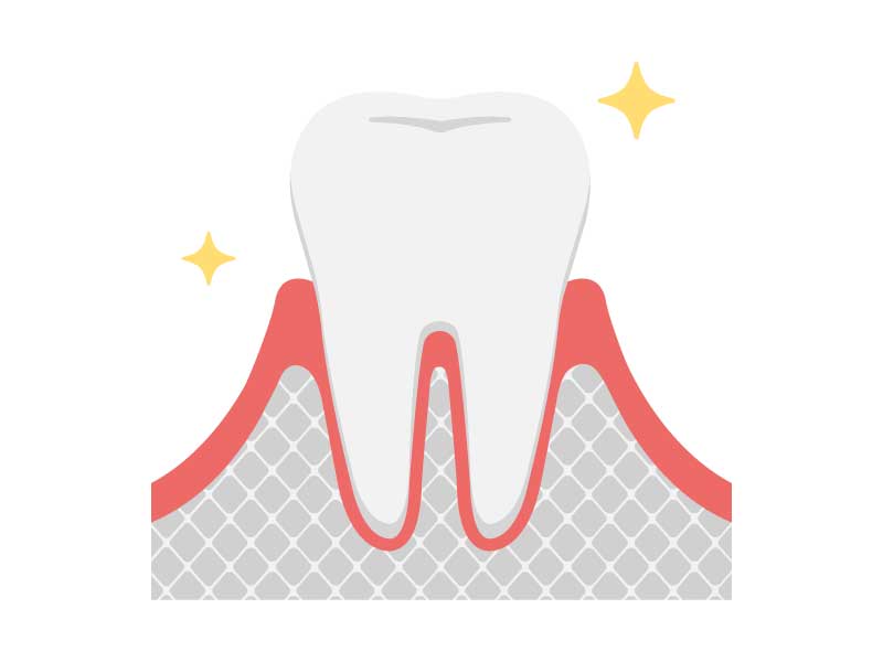 健康な歯ぐき