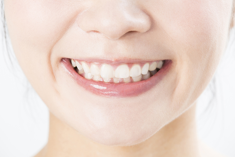 メンテナンス・定期管理